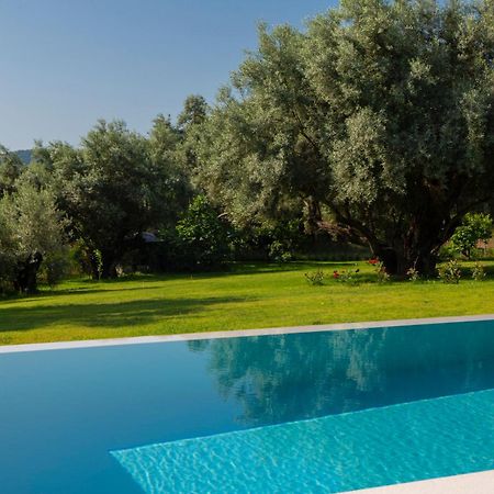 Averto Villas With Private Pool Nydri  Eksteriør billede