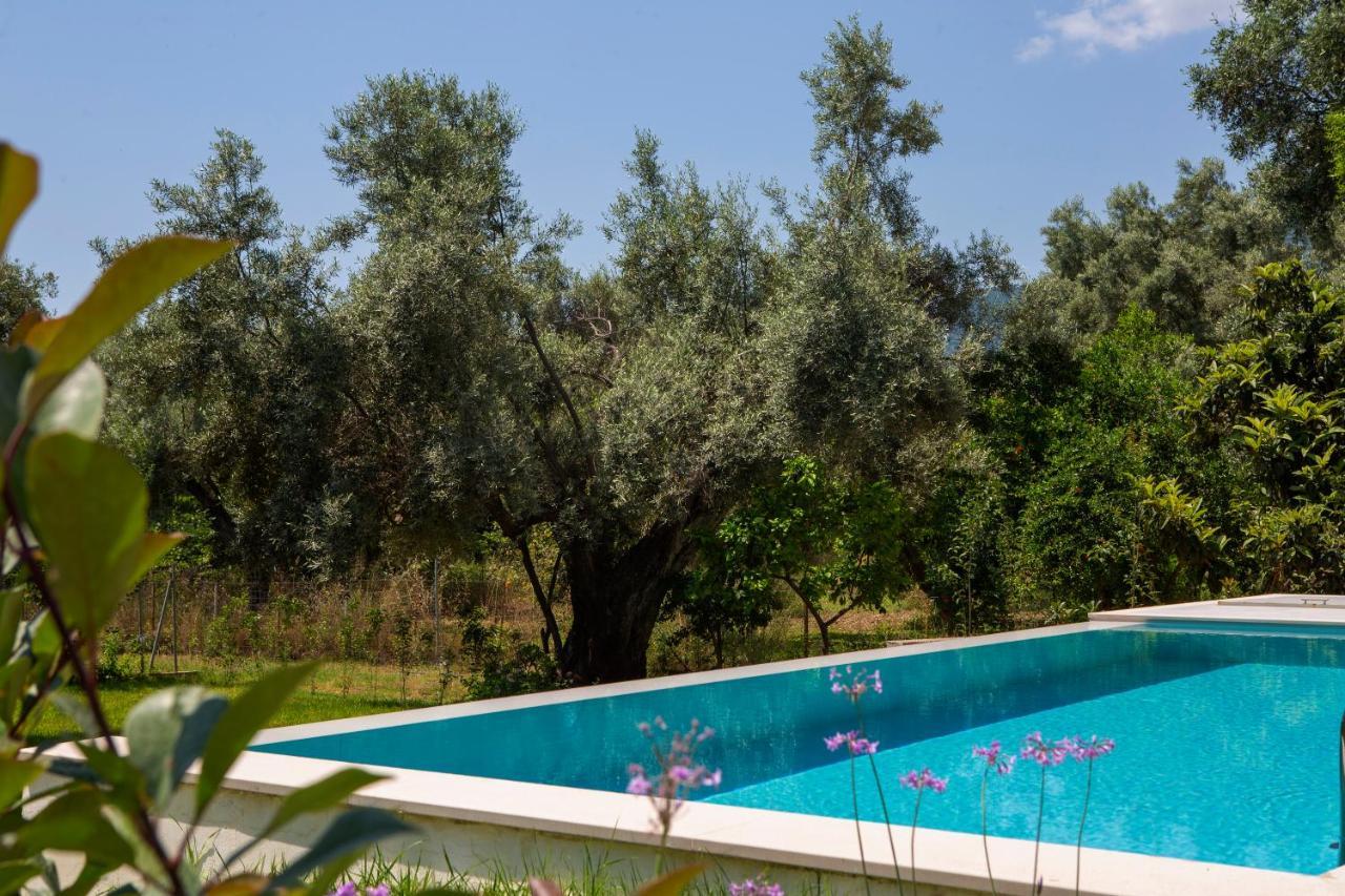 Averto Villas With Private Pool Nydri  Eksteriør billede